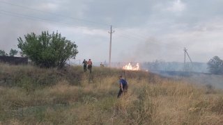 Под Саратовом сгорело 25 гектаров леса