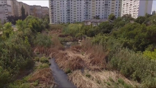 Мэрия не желает решать проблему загрязнения водоемов в Солнечном