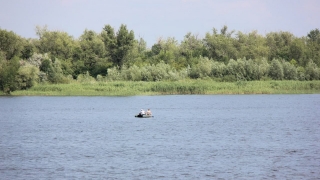Саратовцев ждет теплая пятница
