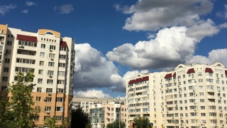 Понедельник будет теплым и солнечным