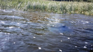 Под Энгельсом из Волги достали тело пожилого утопленника