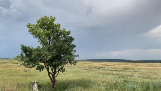 Саратовцев ждет прохладная среда