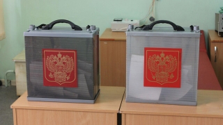 Выборы. 1811 саратовских УИК примут заявления для голосования на дому