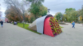 Роспотребнадзор: мероприятия на День города не должны собирать больше 50 человек