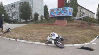 Мотоциклист сбил собаку и сам попал в больницу