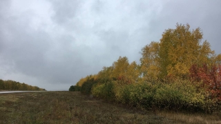 Саратовцев ждет дождливый понедельник