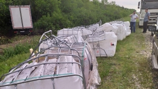 Виновник ДТП в Хвалынском парке заплатит более 700 тысяч рублей и очистит землю