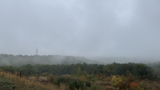 Саратовцам обещана пасмурная среда