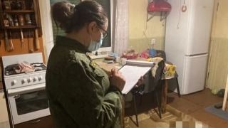 В Заводском районе дачник забил жену до смерти черенком от швабры