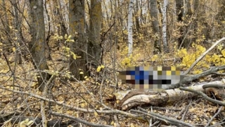 Упавшая во время работ ветка сломала лесорубу шею