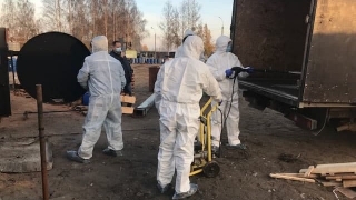 В Удмуртии сожгли поступившую из Саратова свинину с АЧС