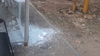 В Солнечном хулиганы разбили остановку
