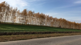 Саратовцев ждет теплый облачный понедельник