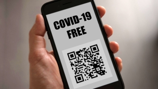 QR-коды могут ввести на объектах спорта, культуры, питания и базах отдыха