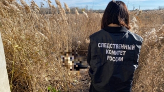 В камышах возле автомойки нашли труп мужчины