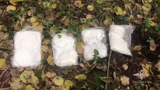 В Саратовской области обнаружены тайники крупной наркогруппировки