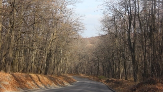 Первый день ноября для саратовцев будет теплым