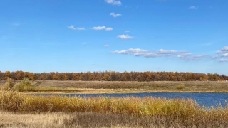 Синоптики обещают саратовцам прохладный день без дождя