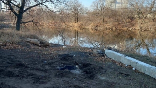 Очевидец: "Уборка города" устроила свалку в Заводском районе"