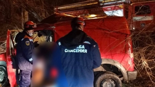 В Энгельсе "Форд" врезался в дерево. Погибла пассажирка