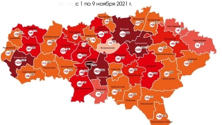 Карта коронавируса. С начала ноября в Саратове заболели 2245 человек