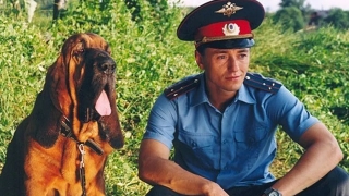 Участковые уполномоченные полиции отмечают профессиональный праздник