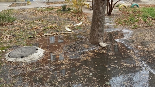 Двор в Заводском районе затапливает канализационными стоками
