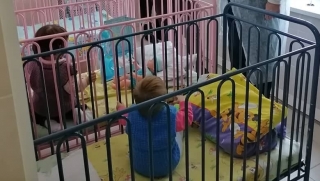 Убийство молодой женщины. Решается судьба детей, власти ищут родственников