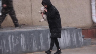 Саратовцев ждет ветреный понедельник с дождем