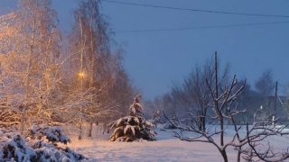 От -15° до +3°. Саратовцев ждет неустойчивая неделя