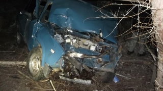 Под Энгельсом "семерка" въехала в дерево. Водитель погиб