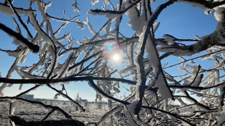 После оттепели синоптики обещают саратовцам до -24°