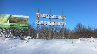 Гордума передала Кумысную поляну в распоряжение мэрии Саратова
