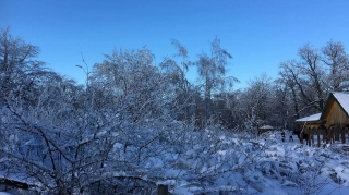 Саратовцев ждет понедельник с легким морозцем