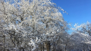 Синоптики опять обещают саратовцам -18°