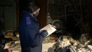 У Вишневой горы пожарные нашли на пепелище останки хозяйки дома