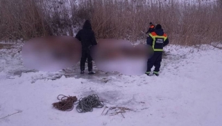 На саратовской реке восемь коров провалились под лед, четыре из них погибли