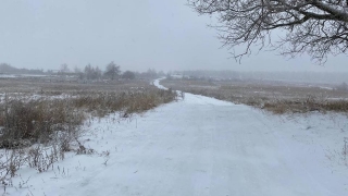 Саратовцев ждет оттепель со снегом и дождем