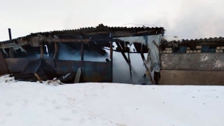На пожаре под Саратовом погибли 10 баранов, ягнята и куры