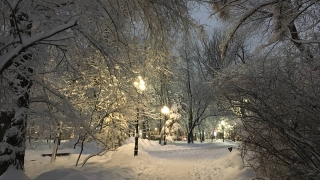 Саратовцев ждет снежный четверг