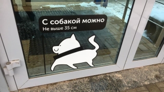 Саратовцев ждет пасмурная среда