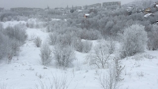 Саратовцев ждет снежная суббота