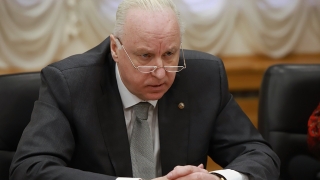 Нападения бродячих собак. Глава СК РФ предлагает изменить закон об отлове животных