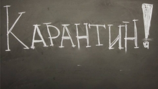 В Саратовской области на карантин по ОРВИ закрыты 43 школы и один детсад