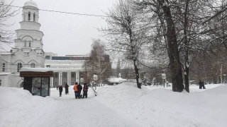 От -19° до ноля. В выходные саратовцев опять ждет снег