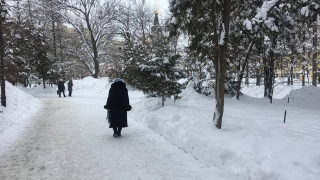 В Саратовской области смертность превысила рождаемость на 30 тысяч человек