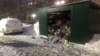 "Собаки уже есть, ждем крыс". Саратовцы жалуются на мусорку около дома