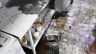 Тушить пиццерию выезжали два пожарных расчета