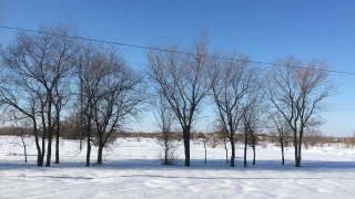 Саратовцев ждет облачный понедельник с небольшим снегом