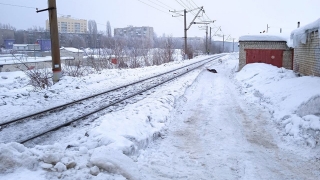 В Заводском районе под колесами поезда погиб 85-летний мужчина
